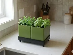 Herb Duo - Free 3D Print Model