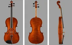 It would be a violin. I do not
