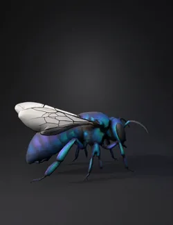 metallic blue wasp with iridescent blue teal body black legs and tra