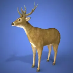 deer 3d model 3D print model