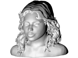 Serene Flow Bust