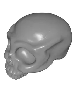 Skull Decor