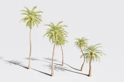 5 Date palm 01 Low poly