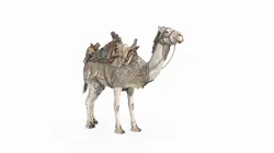 Desert camel mount