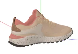 Shoe