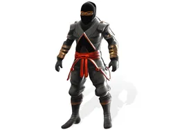 Stealth Master Ninja Character