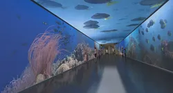 Tunnel