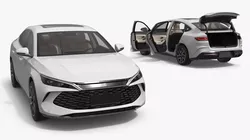 BYD Qin L DM-i Executive Car White Rigged for Cinema 4D 3D model