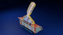 Neuro Muscular Junction Schematic 3D Print Model in Anatomy 548969
