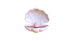 Open Clam Sea Shell 05