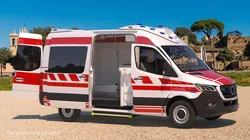 Paramedic Ambulance Vehicle Rigged 3D model