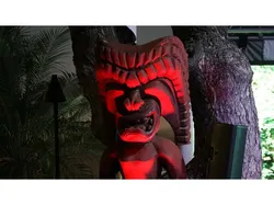Polynesian Tiki Guardian