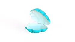 Sea Shell 03