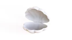Sea Shell 06