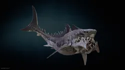 Shark