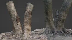 Twin Tree