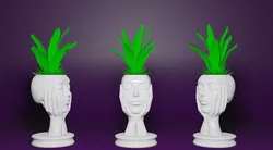 Woman Face Flower Pot Vase Planter - 3D Printable STL Design 3D Print Model in Decor 548657