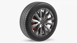 Alloy Wheel Rim with All Season Tire Silver 3D model