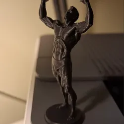 bodybuilder