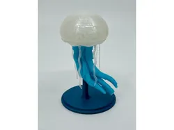 Jellyfish