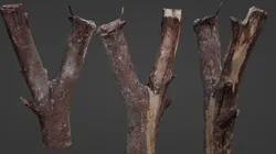 Log splited