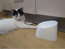Raised cat bowl 15 degrees angle