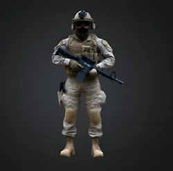 USA Special Forces Soldier 3D Print Model in Man 550773