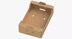Cardboard Display Box 02 Game Ready 3D model
