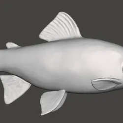 fish