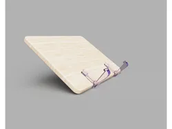 Laptop holder monitor arm