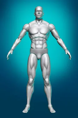 Articulated Action Figure