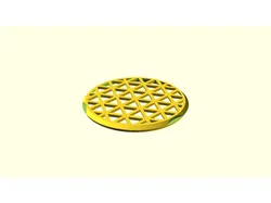 circular_mesh_plate_4G