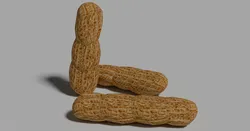 Peanut