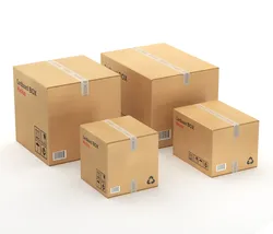 Rigged Carton Box