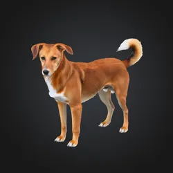 Dog Prop