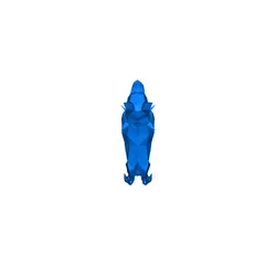 OSRS Pets