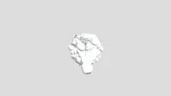 T-Rex brain