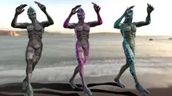 Coral_guardian Trio