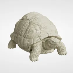 (DnD) Giant Forest Tortoise