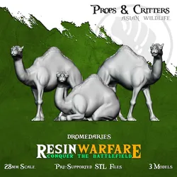Dromedaries - Props&Critters: Animals of the World