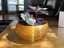Pot