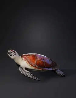 sea turtle with orange brown shell and patterned flippers