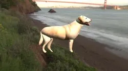111