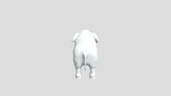 Albino Elephant