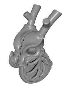 Cali-Dragon: Undead Version
