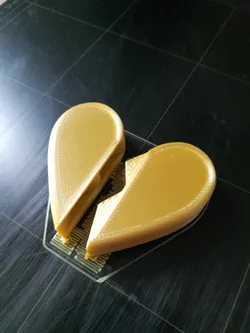 Magnetic Heart