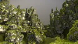 Mossy rocks