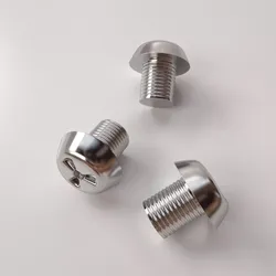 Screw pair of stainless steel screws 3D model