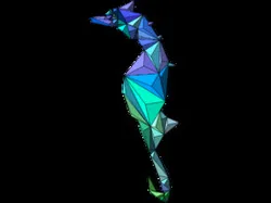 Sea Horse