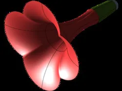 surface example(flower)